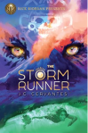 Cover image for The Storm Runner by J.C. Cervantez